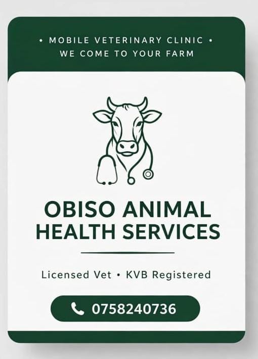 Obiso Logo